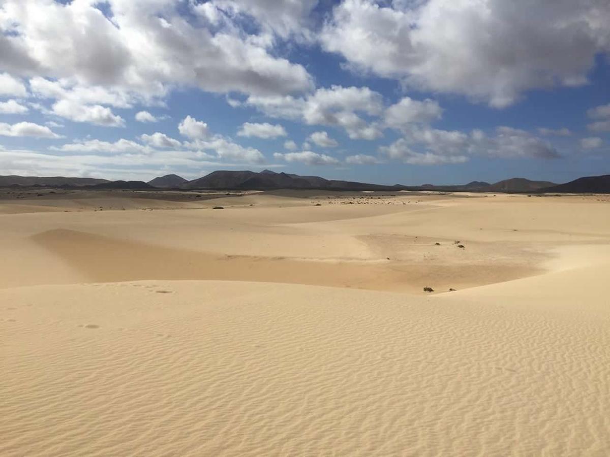 לה אוליבה Gbh Volcanic Beach מראה חיצוני תמונה